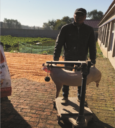 ��˲�Ʊ����Ũ���ϣ�Z888����ʵ֤����